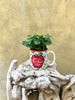 Teacher’s Day Mug + Coffea Arabica Plant