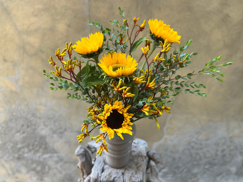 Sunpop