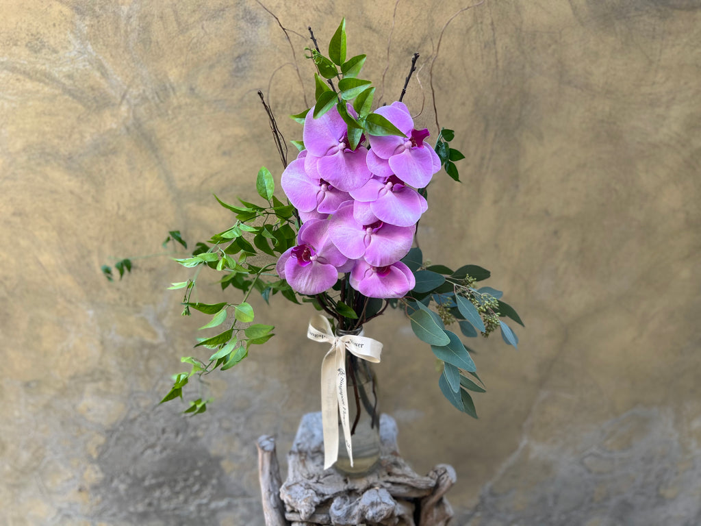 Purple Phalaenopsis Bottle