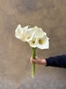 White Calla Lilies - The Home Edit