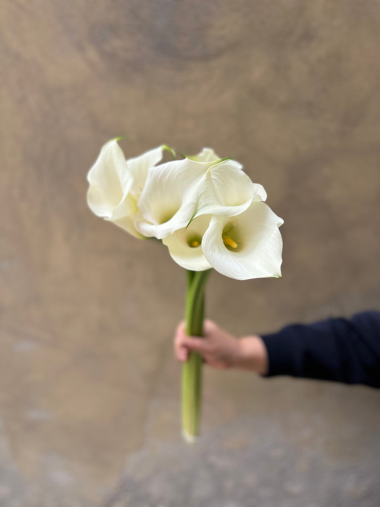 White Calla Lilies - The Home Edit