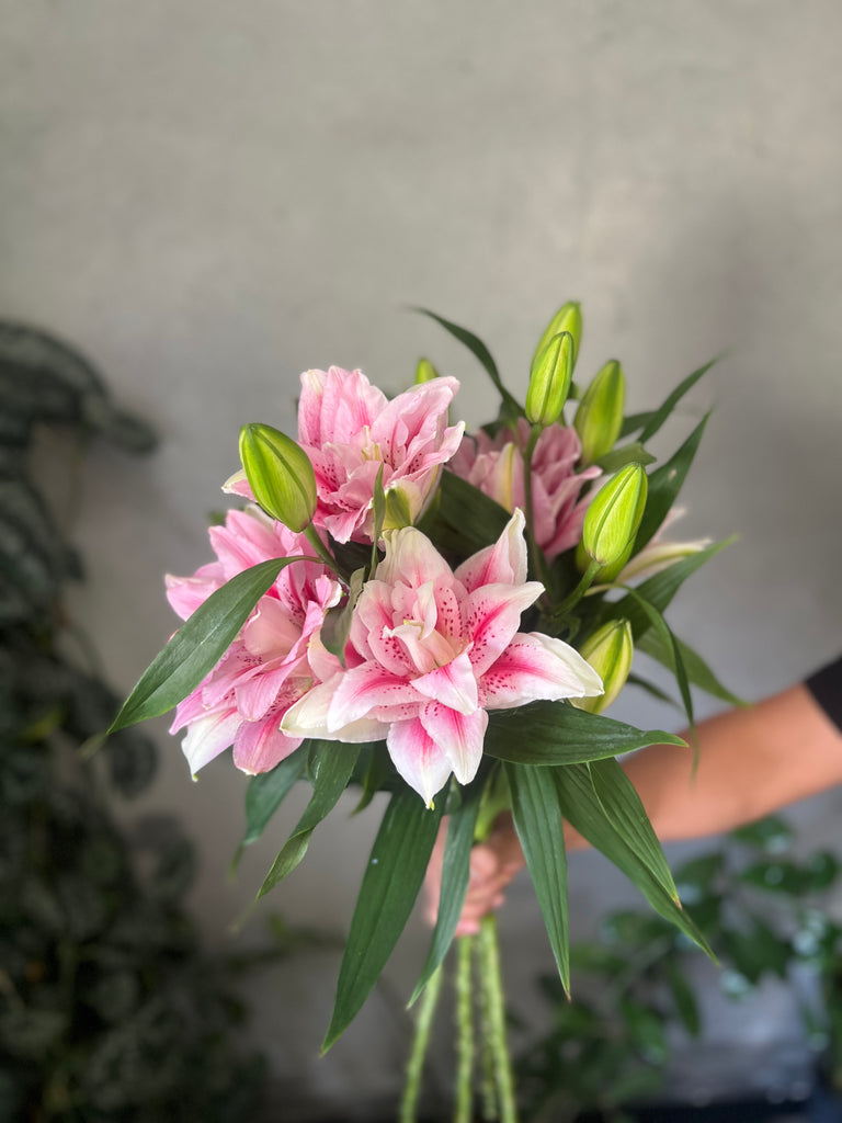 Rose Lily Double Oriental 'Viola' - The Home Edit