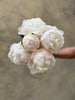 Peony Subscription - 4 Weeks Subscription