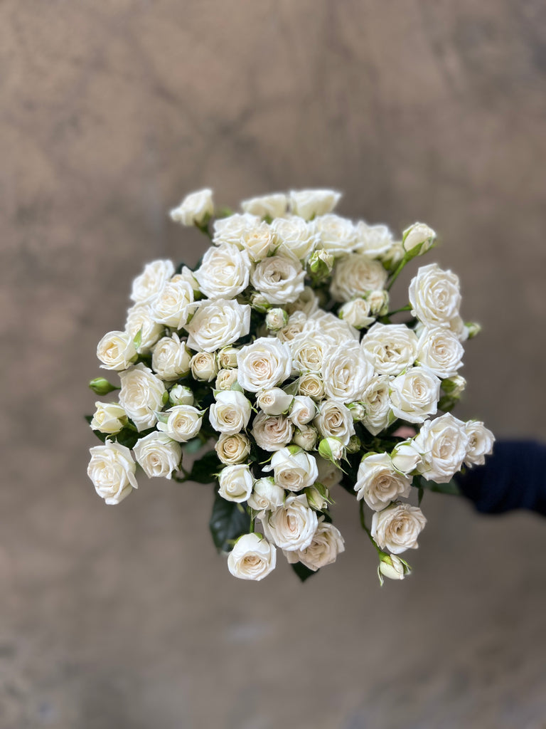 White Spray Roses - The Home Edit