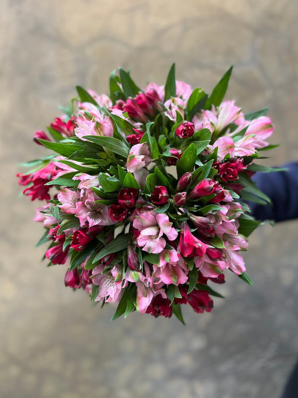 Cherry Alstromeria Medley - The Home Edit