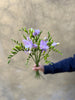 Purple Freesias - The Home Edit