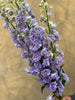 Lavender Delphinium - The Home Edit