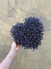 Dried Lavender Love - Everlasting Blooms