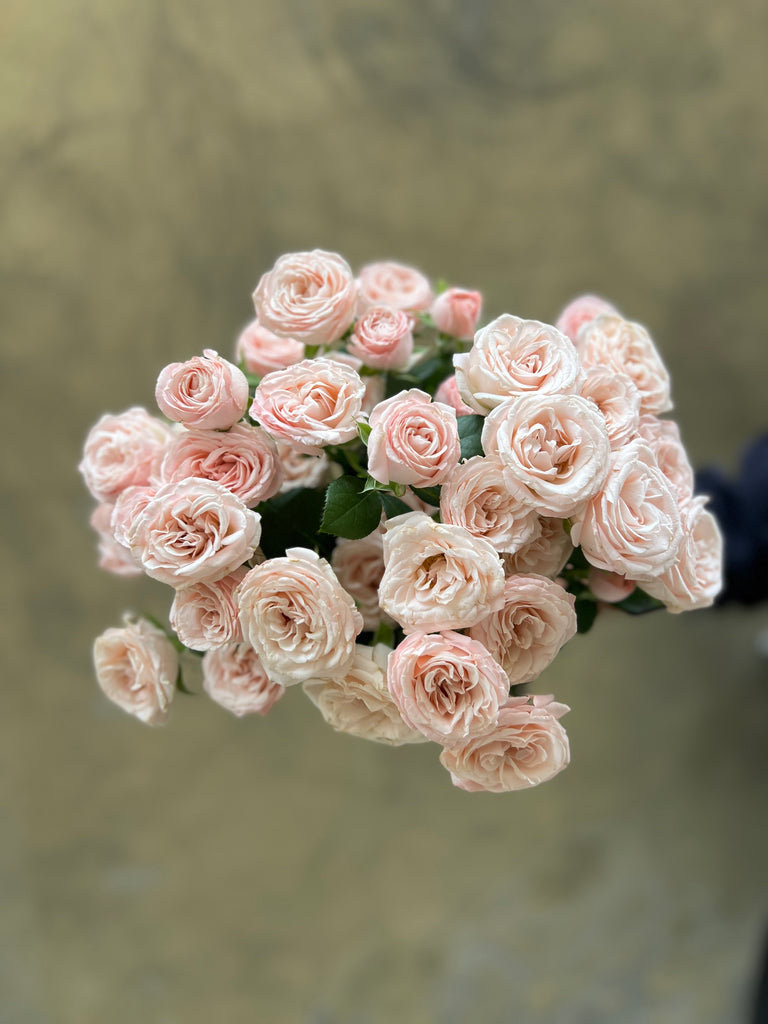 Blush Spray Roses - The Home Edit