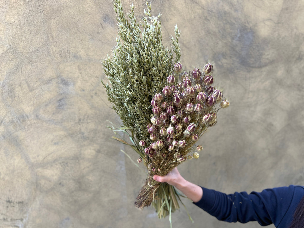 Dried Avena and Nigella Pods Combo - The Home Edit