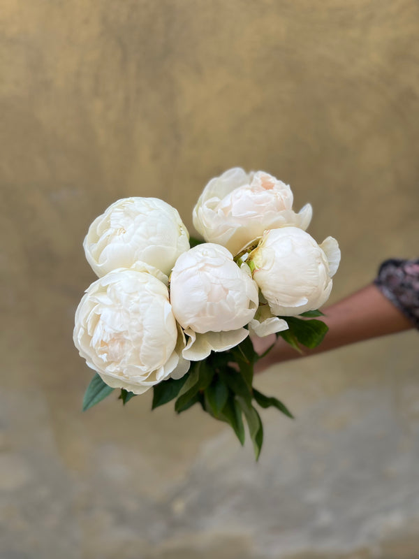 Puffed Cotton Peonies - The Home Edit