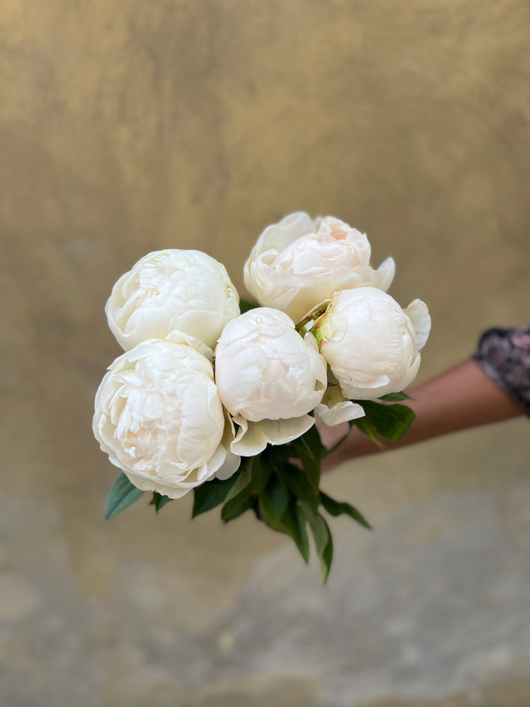 Puffed Cotton Peonies - The Home Edit