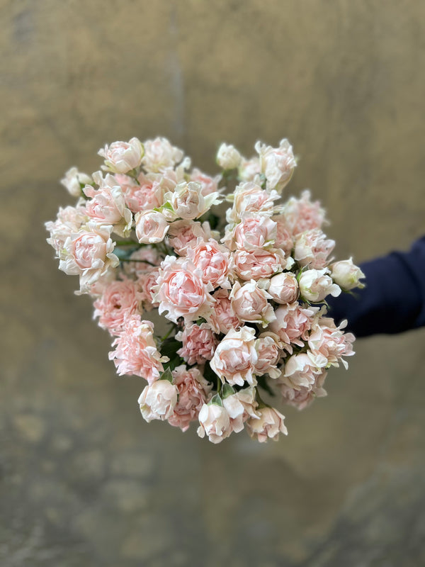 Blush-Pink Spray Roses - The Home Edit