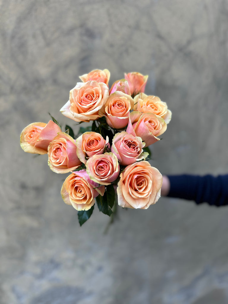Dividend Apricot Roses - The Home Edit
