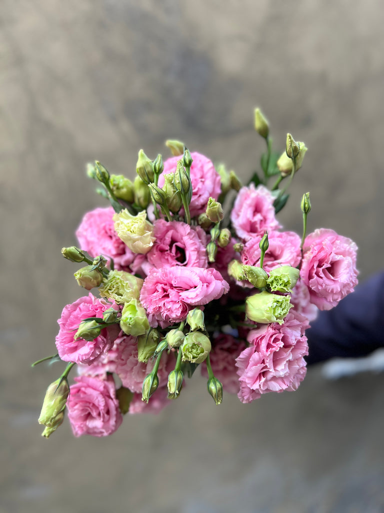 Pink Lisianthus - The Home Edit