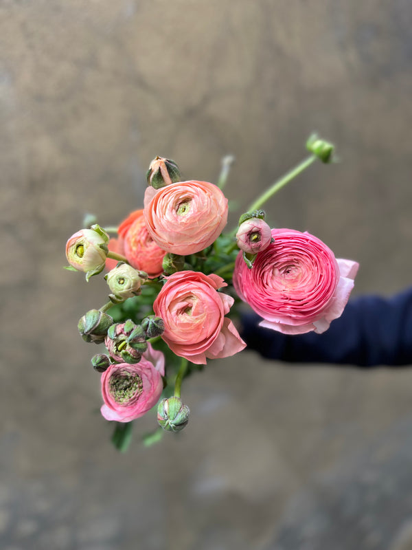 Coral Ranunculus - The Home Edit