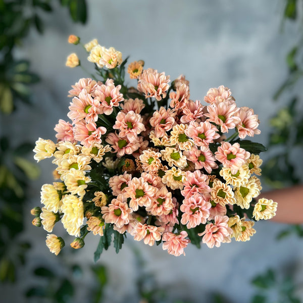 Autumn Santini - The Home Edit