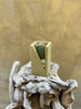 Peekaboo Cactus
