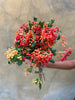 Viburnum Berries - The Home Edit