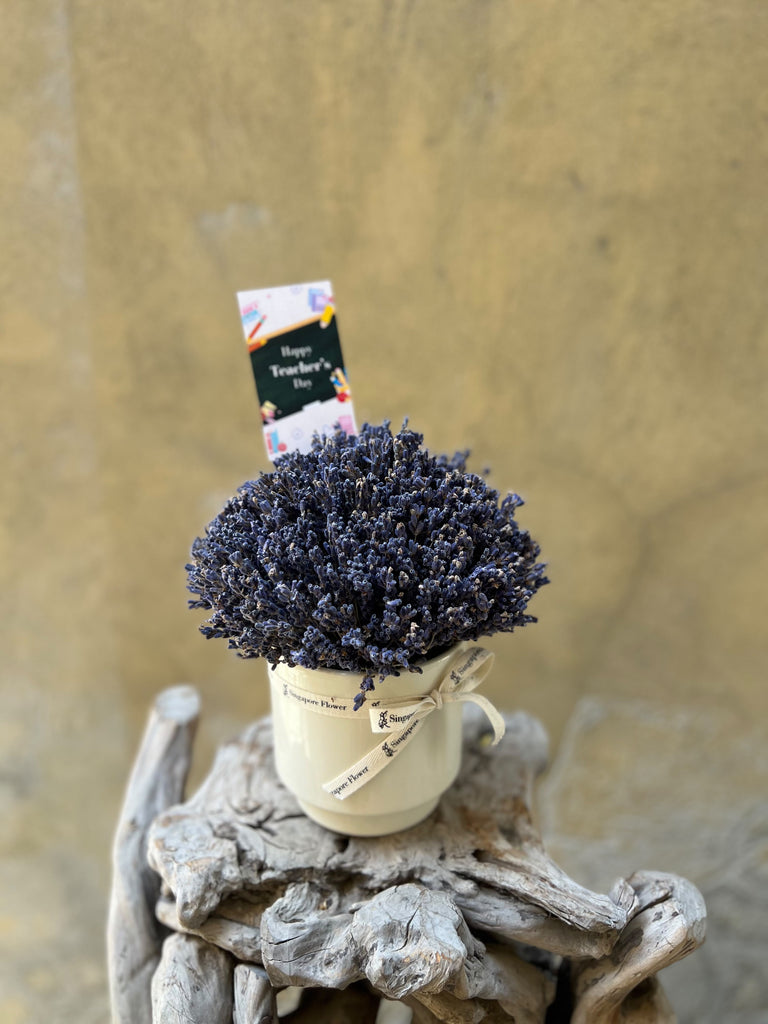 Teacher's Day: Dried Lavender