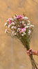 Mixed Waxflowers - The Home Edit