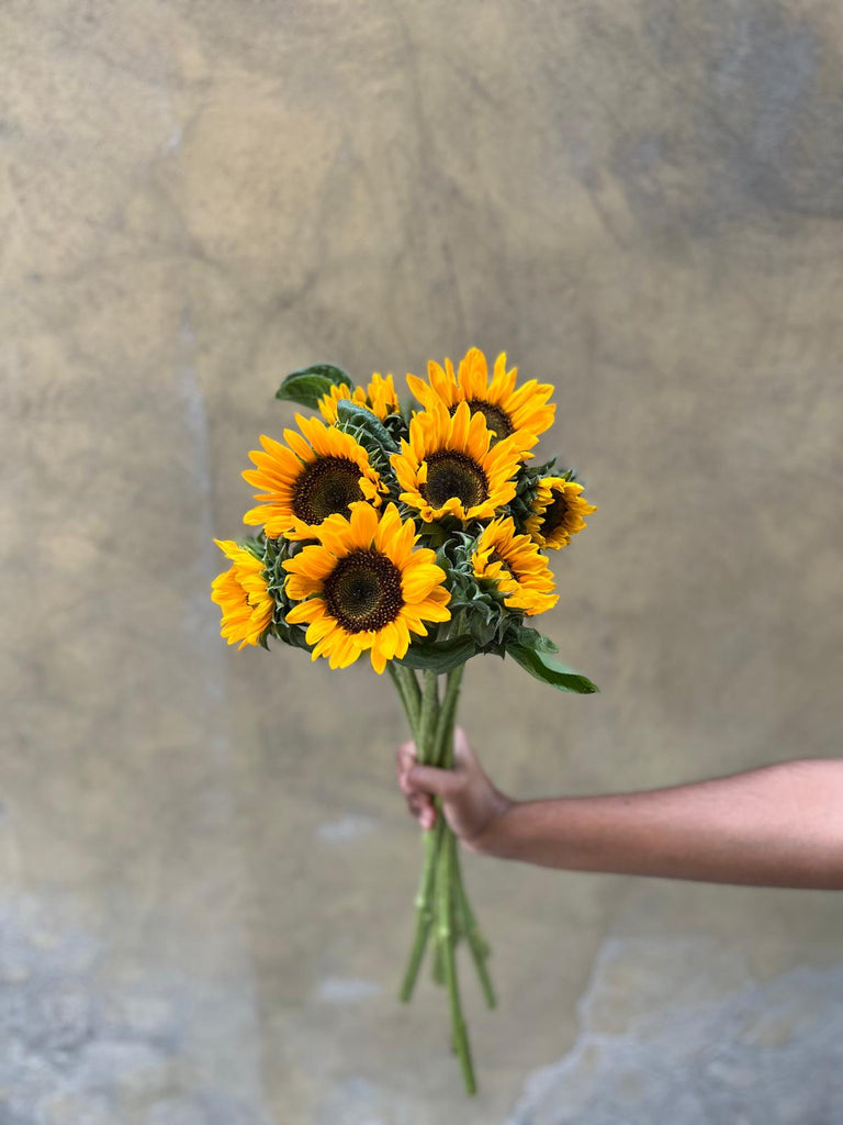 Micro Sunflowers - The Home Edit