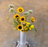 Sunpop