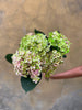 Amethyst Hydrangeas - The Home Edit