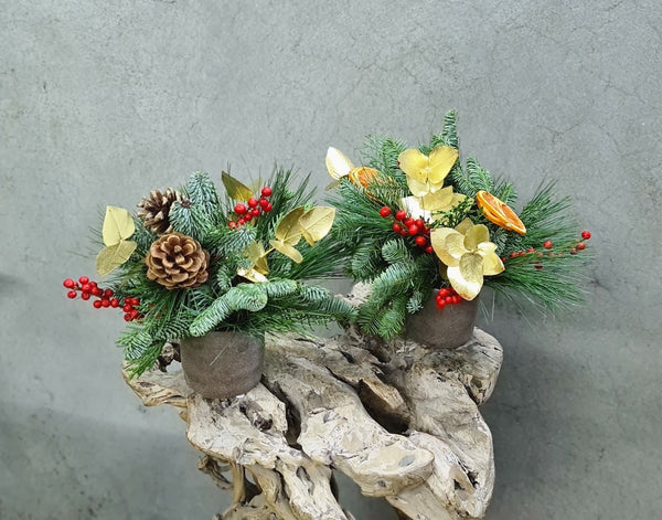 Holiday Pots (Set of 2)