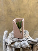 Peekaboo Cactus