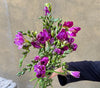 Purple Freesias - The Home Edit