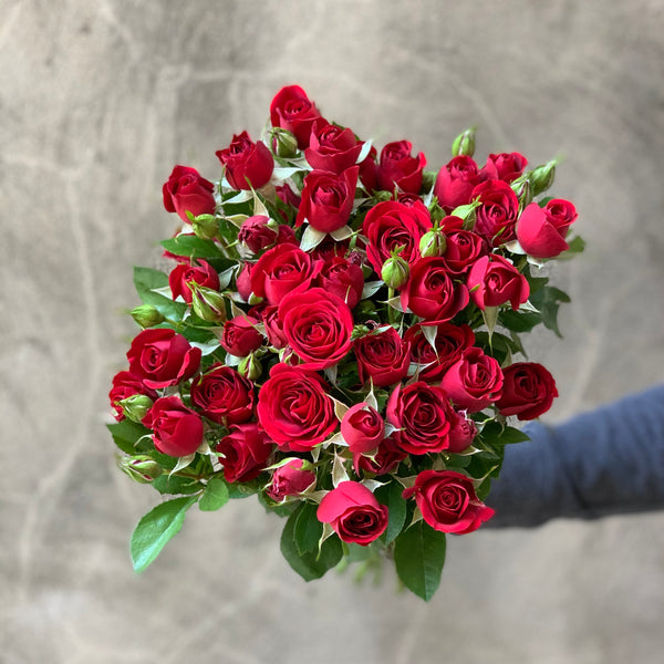 Red Spray Roses - The Home Edit