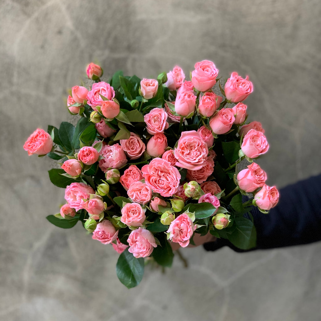 Pink Spray Roses - The Home Edit