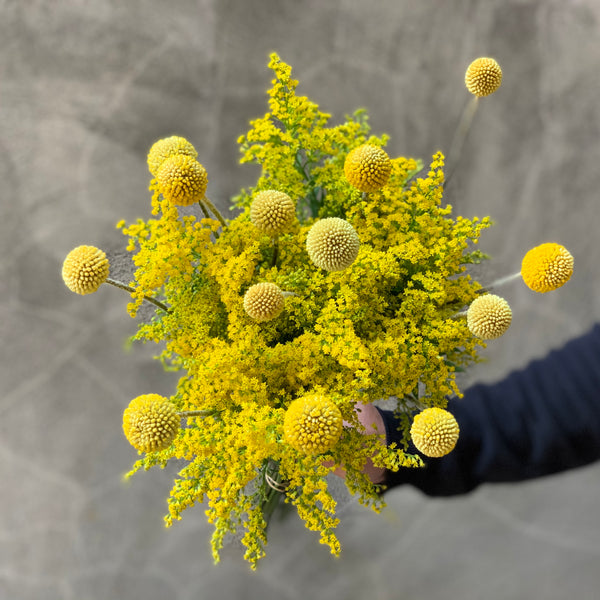 Solidago and Yellow Craspedia - The Home Edit