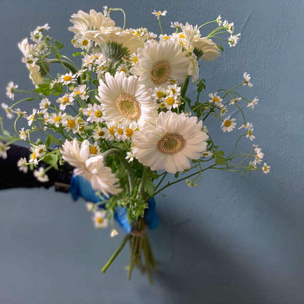Germini and Daisies - The Home Edit