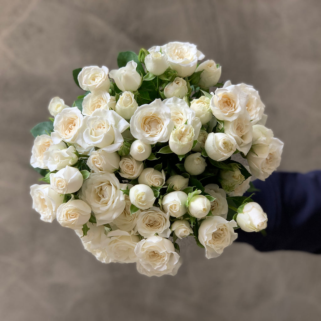 White Spray Roses - The Home Edit