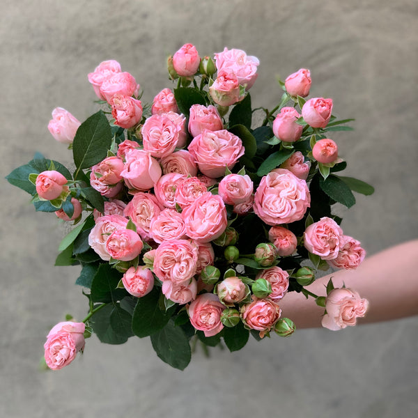Pink Spray Roses - The Home Edit