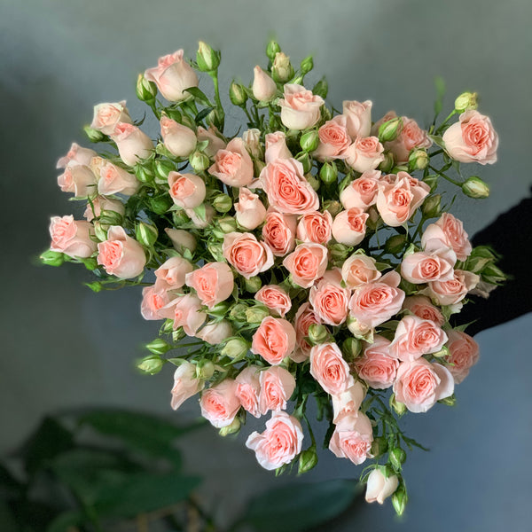 Peachy-Pink Spray Roses - The Home Edit