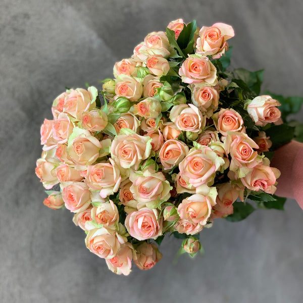 Azore Spray Roses - The Home Edit