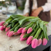 Tulip Subscription - 4 Week Subscription (Ramadan: Feb-March 2026)