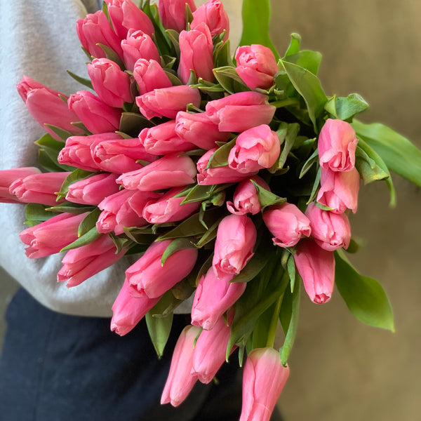 Tulip Subscription - 4 Week Subscription (Ramadan: Feb-March 2026)