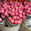 Tulip Subscription - 4 Week Subscription (Ramadan: Feb-March 2026)