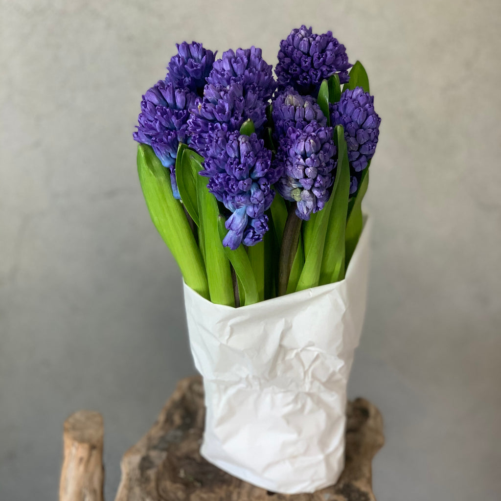 Fragrant Blue Hyacinth - The Home Edit