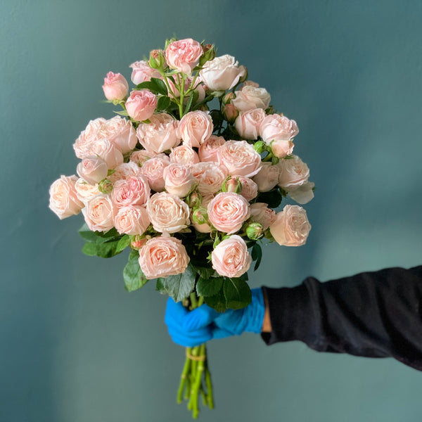 Blush Spray Roses - The Home Edit