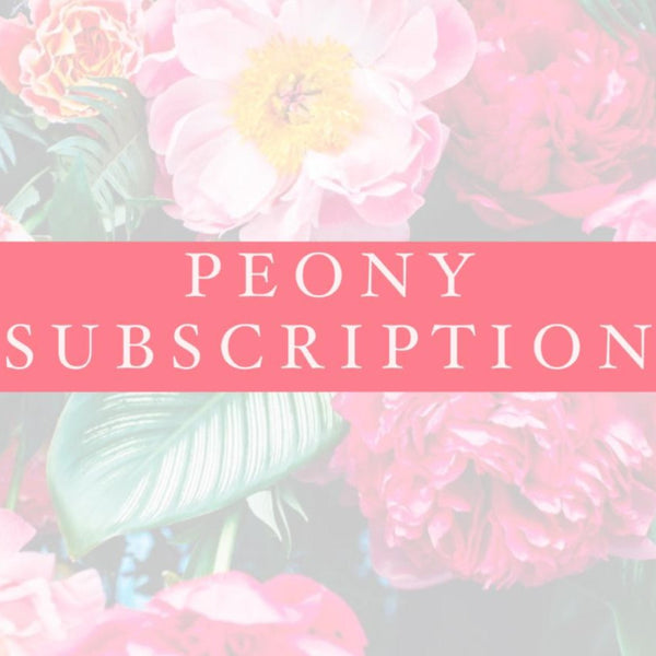 Peony Subscription - 4 Week Subscription