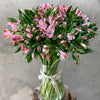 Pink Alstromeria Wonder