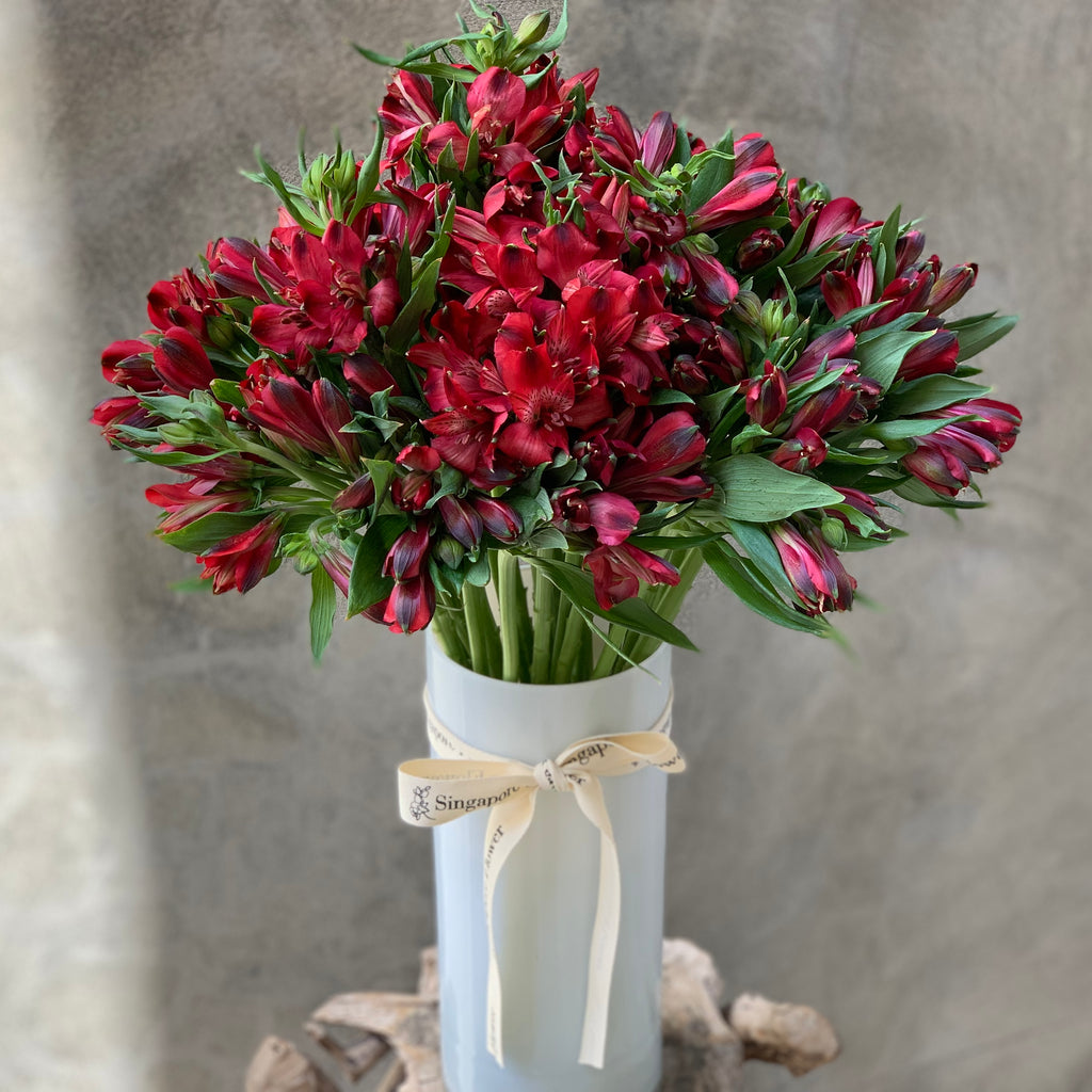Cranberry Alstromeria