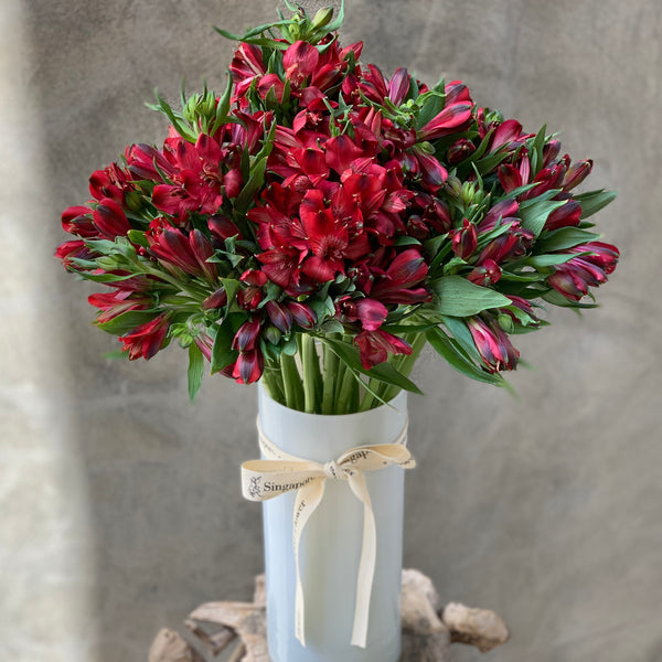 Cranberry Alstromeria