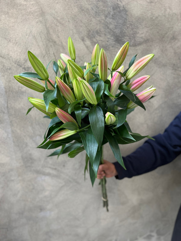 Deluxe Pink Oriental Lilies - The Home Edit