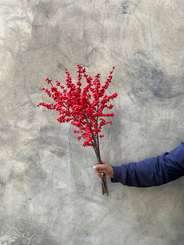 Red Ilex Berries - The Home Edit